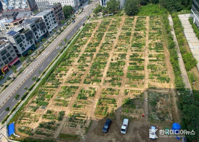 갈매동 도시텃밭
