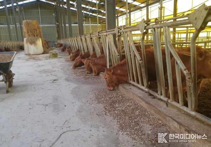 사료구매자금 축사