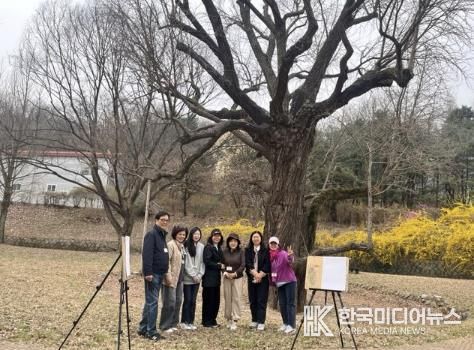 구리시, 931년 아천동 은행나무 '천연기념물 지정 기원' 스케치 탐방