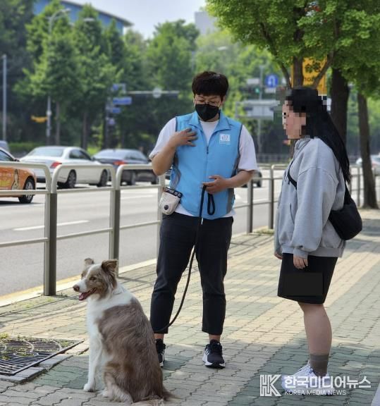 2024년 반려견 행동교정 교육 사진