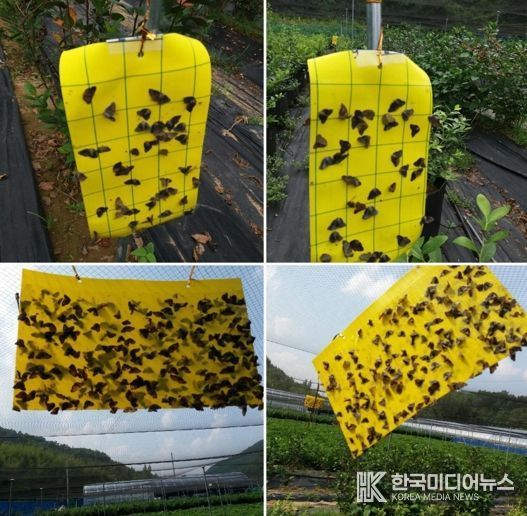 해충포획기 사진